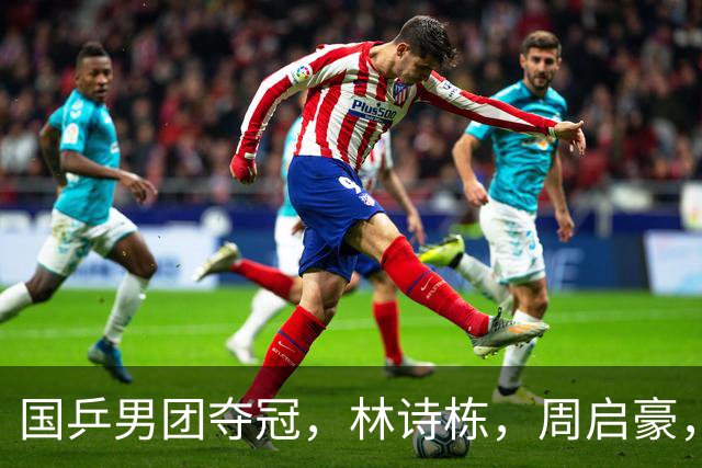 国乒男团夺冠，林诗栋，周启豪，向鹏各拿1分