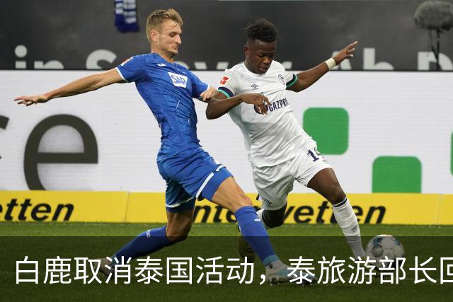 白鹿取消泰国活动，泰旅游部长回应惹争议